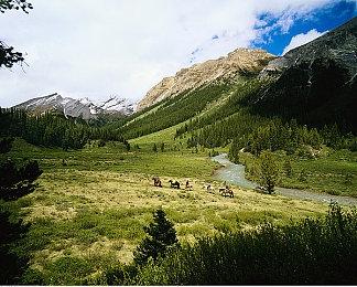 《宝可梦GO》官方广告竟出现游戏多开作弊画面